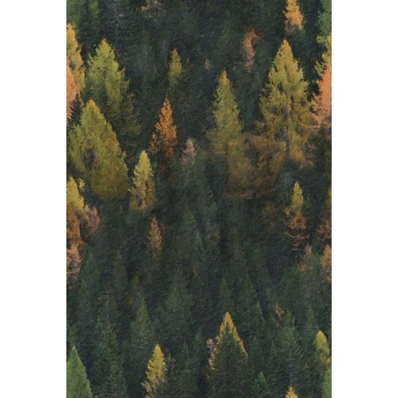 Tmavý les - zimný