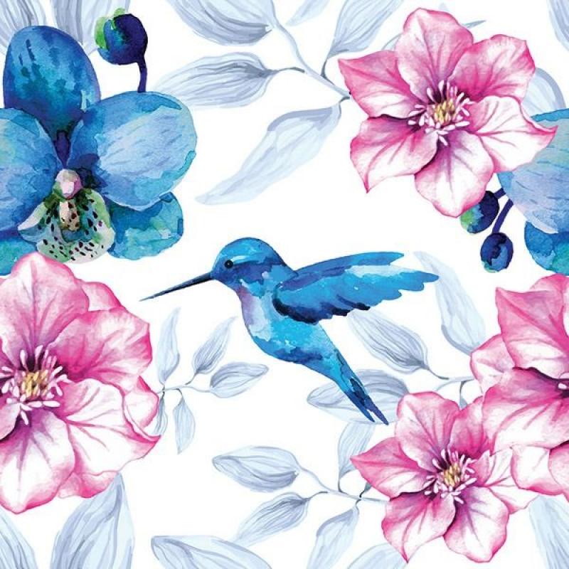 Kvety - kolibrík